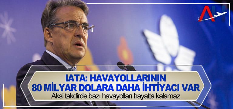 iata-havayolları-desteklemensı-lazım