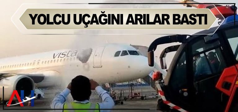 yolcu-ucagını-arılar-bastı