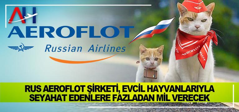 Rus-Aeroflot-şirketi,-evcil-hayvanlarıyla-seyahat-edenlere-fazladan-mil-verecek