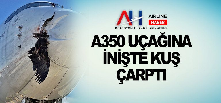 A350-uçağına-inişte-kuş-çarptı