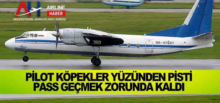 Pilot-köpekler-yüzünden-pisti-pass-geçmek-zorunda-kaldı