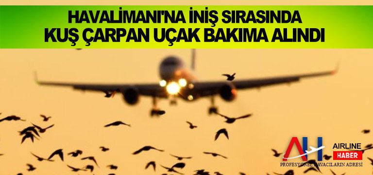 Havalimanı'na-iniş-sırasında-kuş-çarpan-uçak-bakıma-alındı