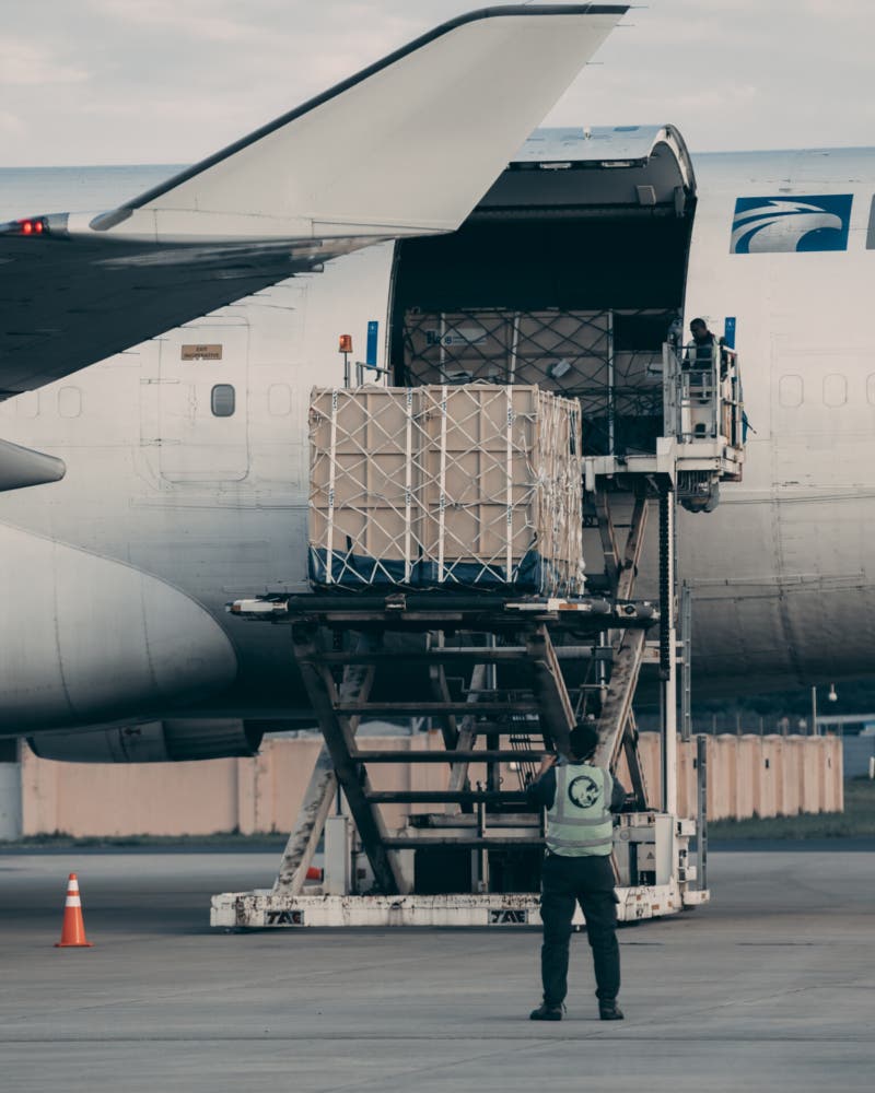 Son Dakika Havacılık Haberleri | Türk Hava Yolları, Pegasus, Sunexpress, Corendon, Havacılık, Havayolları, Havalimanları, Havaalanları, THY, Hostes, Pilot, Uçak, Kabin memuru, SHGM, DHMİ Rhino crates are loaded onto the aircraft in South Africa ©Martin Meyer African Parks 800x1000 1