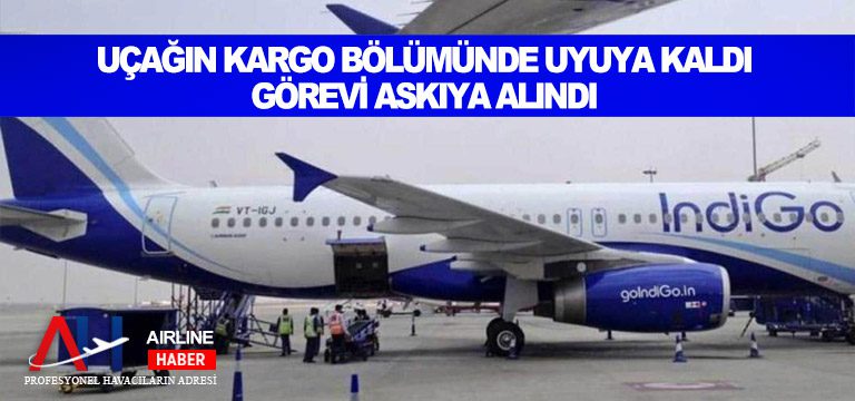 Uçağın-kargo-bölümünde-uyuya-kaldı.-Görevi-askıya-alındı