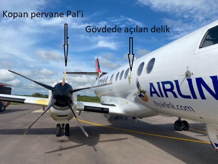 Son Dakika Havacılık Haberleri | Türk Hava Yolları, Pegasus, Sunexpress, Corendon, Havacılık, Havayolları, Havalimanları, Havaalanları, THY, Hostes, Pilot, Uçak, Kabin memuru, SHGM, DHMİ sa airlink js41 zk nrj venetia 220103 1