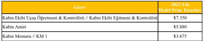 Son Dakika Havacılık Haberleri | Türk Hava Yolları, Pegasus, Sunexpress, Corendon, Havacılık, Havayolları, Havalimanları, Havaalanları, THY, Hostes, Pilot, Uçak, Kabin memuru, SHGM, DHMİ p3