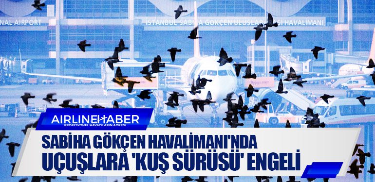 Sabiha Gökçen Havalimanı'nda uçuşlara 'kuş sürüsü' engeli