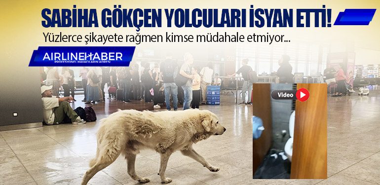 Sabiha Gökçen havalimanı yolcuları isyan etti! Yüzlerce şikayete rağmen kimse müdahale etmiyor...