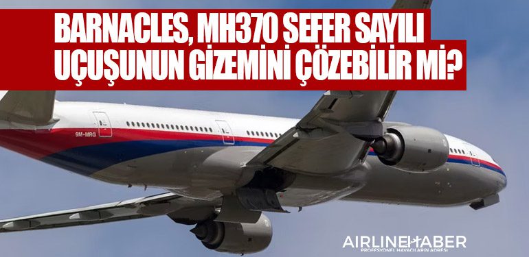 Barnacles, Malezya Havayolları'nın MH370 sefer sayılı uçuşunun gizemini çözebilir mi?