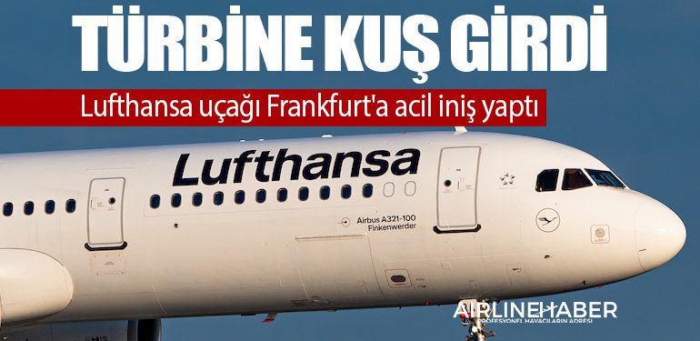 Türbine kuş girdi! Lufthansa uçağı Frankfurt'a acil iniş yaptı