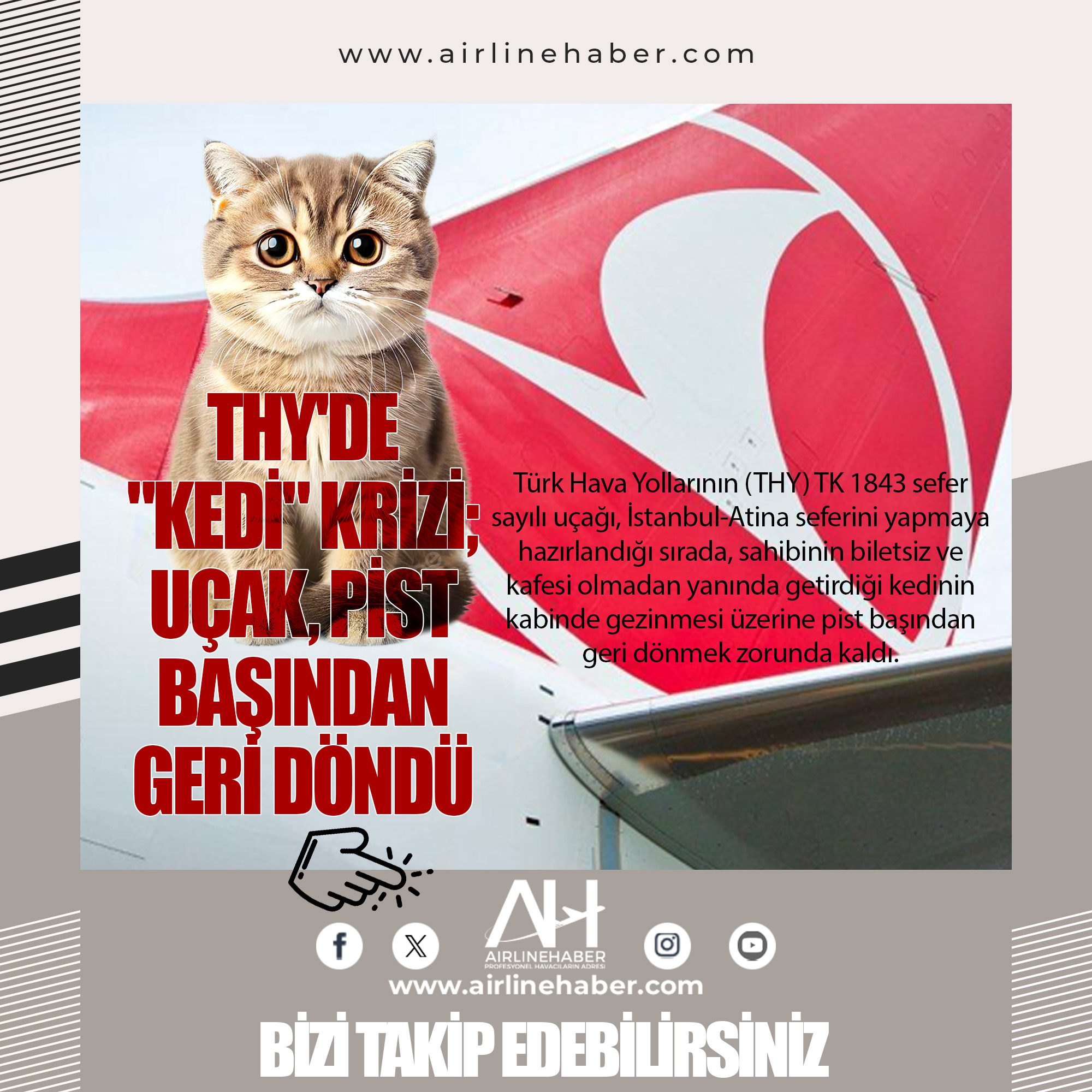 THY'de "kedi" krizi; uçak, pist başından geri döndü