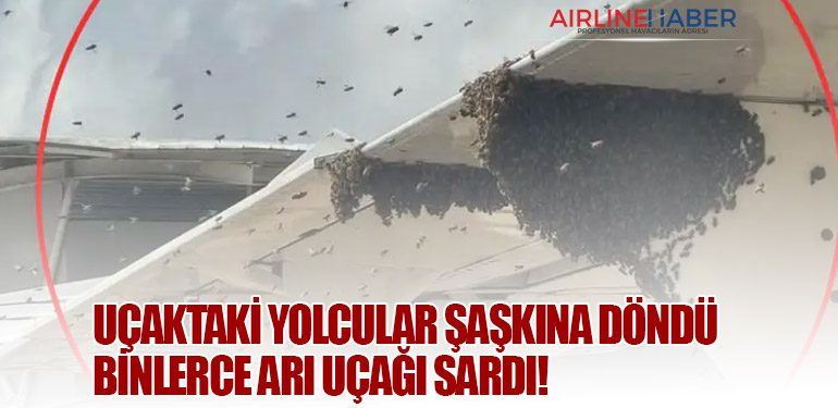 Uçaktaki Yolcular Şaşkına Döndü: Binlerce Arı Uçağı Sardı!