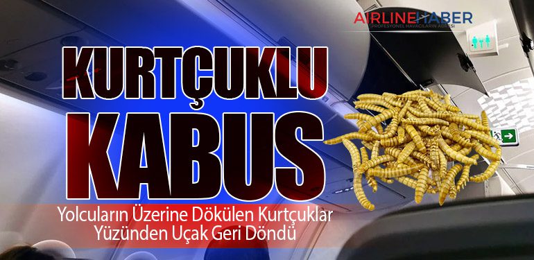 Kurtçuklu Kabus: Yolcuların Üzerine Dökülen Kurtçuklar Yüzünden Uçak Geri Döndü