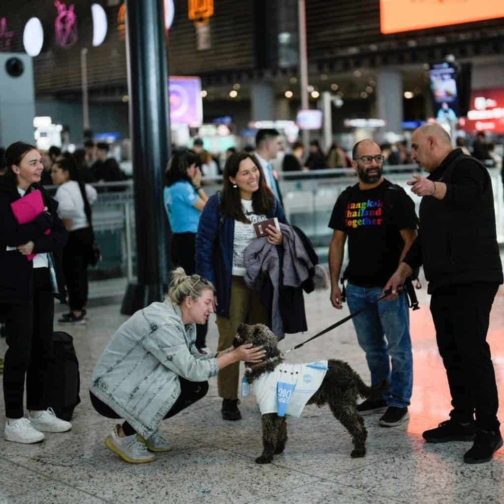 Son Dakika Havacılık Haberleri | Türk Hava Yolları, Pegasus, Sunexpress, Corendon, Havacılık, Havayolları, Havalimanları, Havaalanları, THY, Hostes, Pilot, Uçak, Kabin memuru, SHGM, DHMİ 12 04 2024 terapi kopekleri 2 1024x1024 1