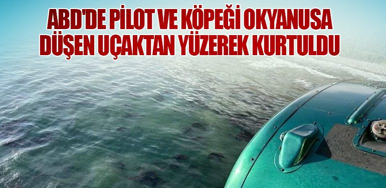 ABD'de Pilot ve Köpeği Okyanusa Düşen Uçaktan Yüzerek Kurtuldu