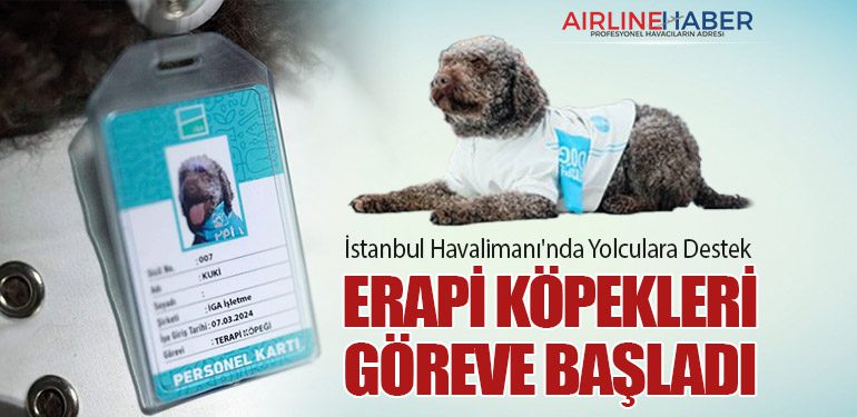 İstanbul-Havalimanı'nda-Yolculara-Destek-Terapi-Köpekleri-Göreve-Başladı