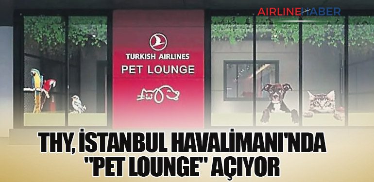 THY, İstanbul Havalimanı'nda "Pet Lounge" açıyor