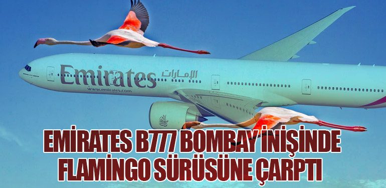 Emirates B777 Bombay inişinde flamingo sürüsüne çarptı 