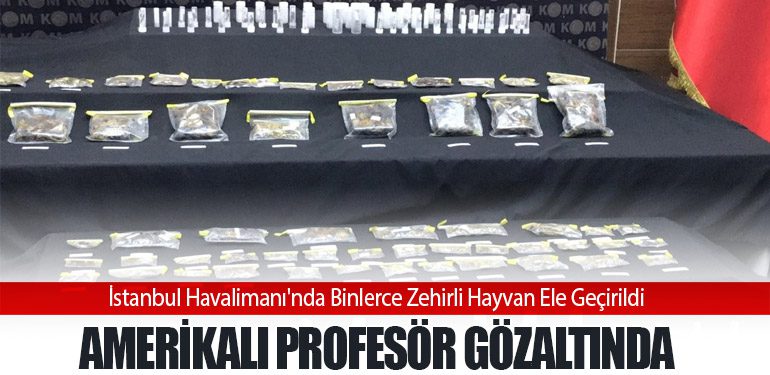 İstanbul Havalimanı'nda Binlerce Zehirli Hayvan Ele Geçirildi: Amerikalı Profesör Gözaltında