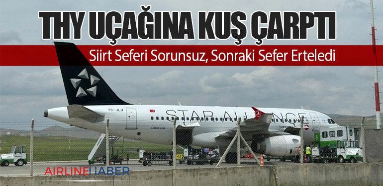 THY Uçağına Kuş Çarptı: Siirt Seferi Sorunsuz, Sonraki Sefer Erteledi