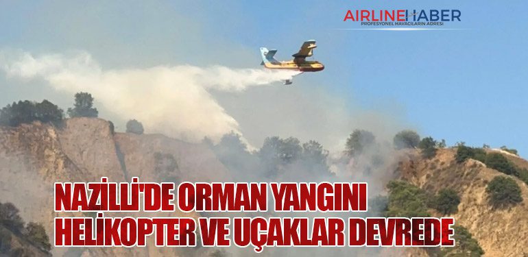 Nazilli'de Orman Yangını: Helikopter ve Uçaklar Devrede