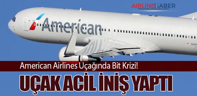 American Airlines Uçağında Bit Krizi! Uçak Acil İniş Yaptı