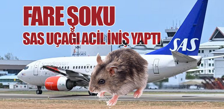 Fare Şoku: SAS Uçağı Acil İniş Yaptı