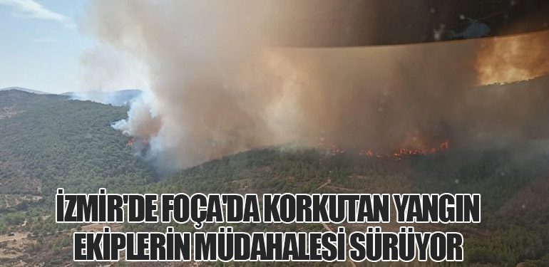 İzmir'de Foça'da Korkutan Yangın: Ekiplerin Müdahalesi Sürüyor