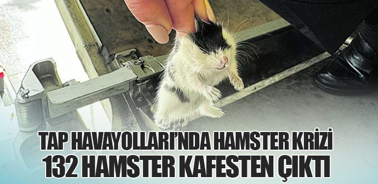 TAP Havayolları’nda Hamster Krizi: 132 Hamster Kafesten Çıktı