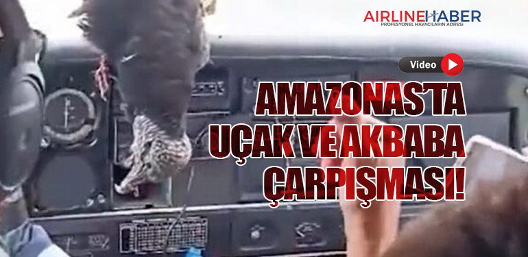 Amazonas’ta Uçak ve Akbaba Çarpışması!