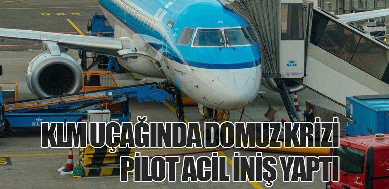 KLM Uçağında Domuz Krizi: Pilot Acil İniş Yaptı