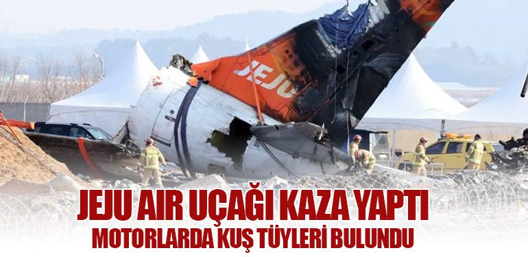 Jeju Air Uçağı Kaza Yaptı: Motorlarda Kuş Tüyleri Bulundu